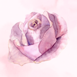 watercolor rose image placeholder for a testimonial